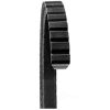 Best Accessory Drive Belt for sale